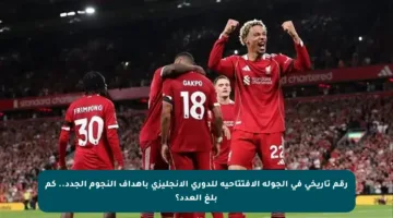 رقم تاريخي في الجولة الافتتاحية للدوري الإنجليزي بأهداف النجوم الجدد.. كم بلغ العدد؟